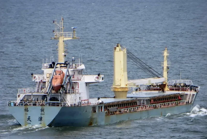 FU CHENG Bulk Carrier IMO 9576325 photo 3