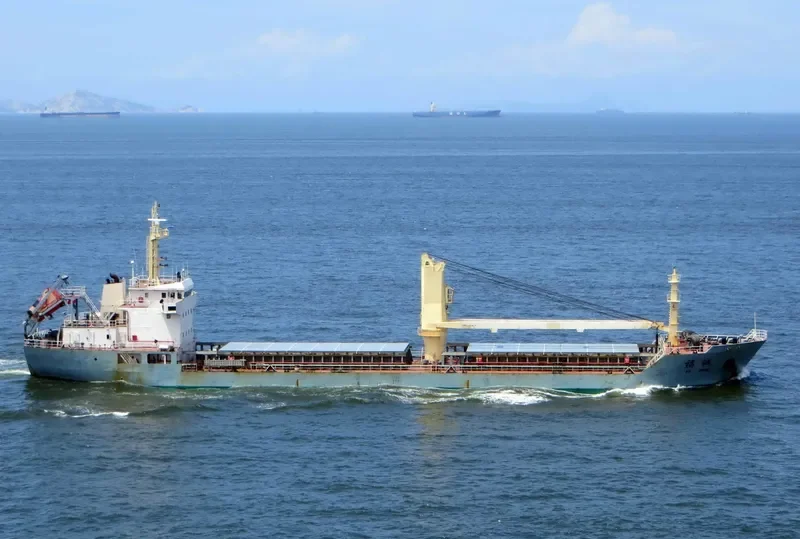 FU CHENG Bulk Carrier IMO 9576325 photo 4