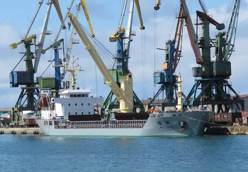 FU CHENG Bulk Carrier IMO 9576325 photo 6