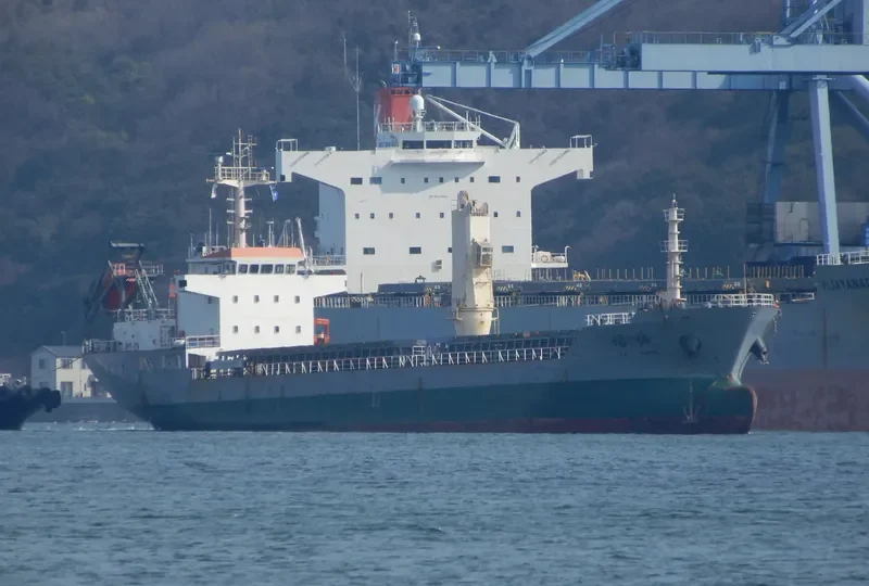 FU CHENG Bulk Carrier IMO 9576325 photo 10