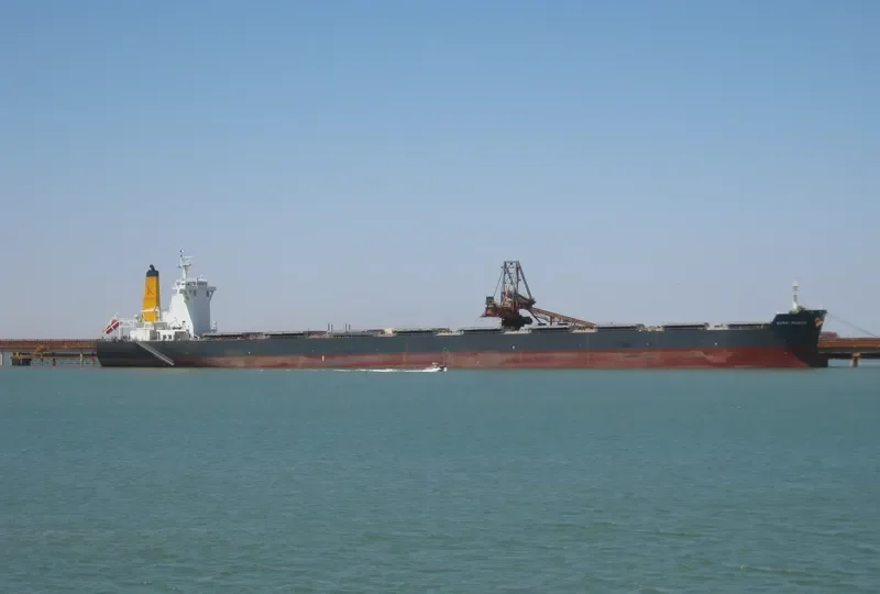 BERGE DHAULAGIRI Bulk Carrier IMO 9576337 photo 6