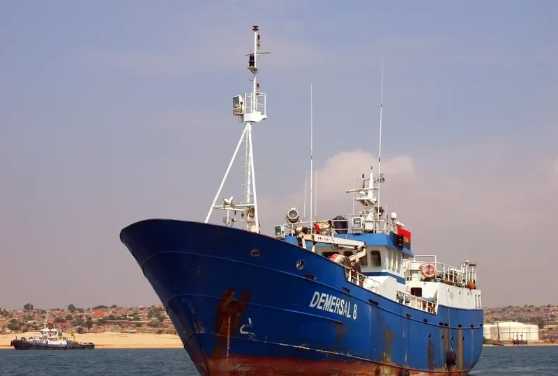 DEMERSAL 8 General Cargo IMO 9576521 photo 2
