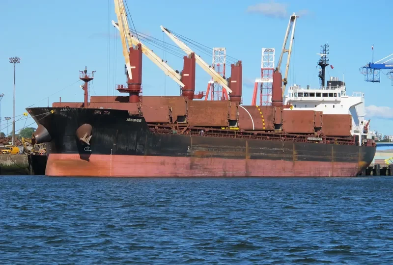 HOUSTON PEARL Bulk Carrier IMO 9576727