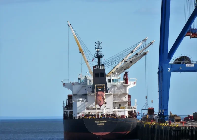 HOUSTON PEARL Bulk Carrier IMO 9576727 photo 2