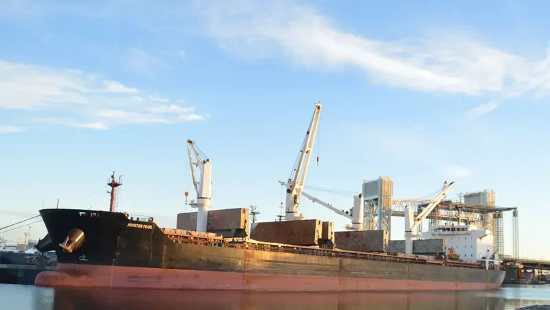 HOUSTON PEARL Bulk Carrier IMO 9576727 photo 4