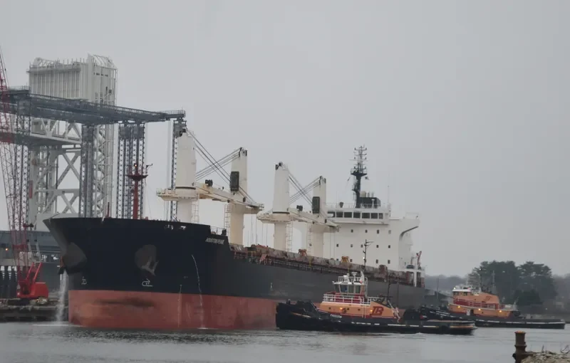 HOUSTON PEARL Bulk Carrier IMO 9576727 photo 5