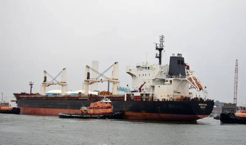 HOUSTON PEARL Bulk Carrier IMO 9576727 photo 6