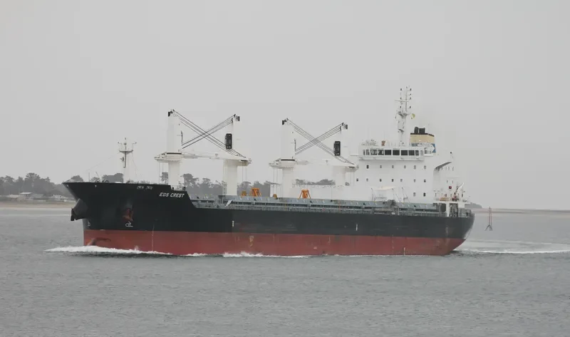 HOUSTON PEARL Bulk Carrier IMO 9576727 photo 8