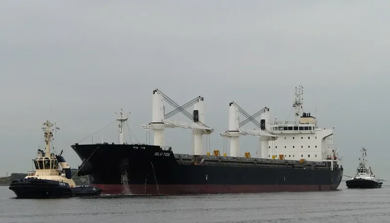 ECO TIDE Bulk Carrier IMO 9576739 photo 3