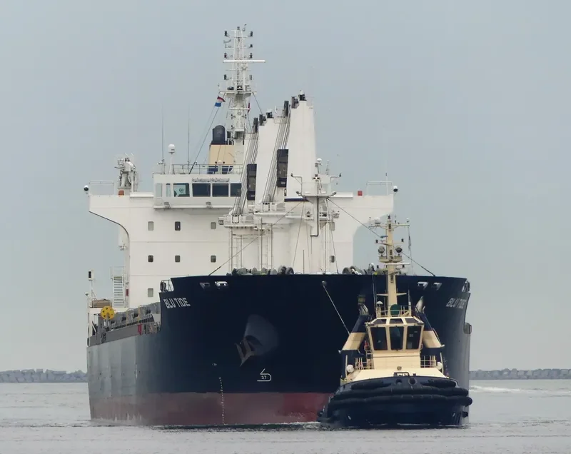 ECO TIDE Bulk Carrier IMO 9576739 photo 4
