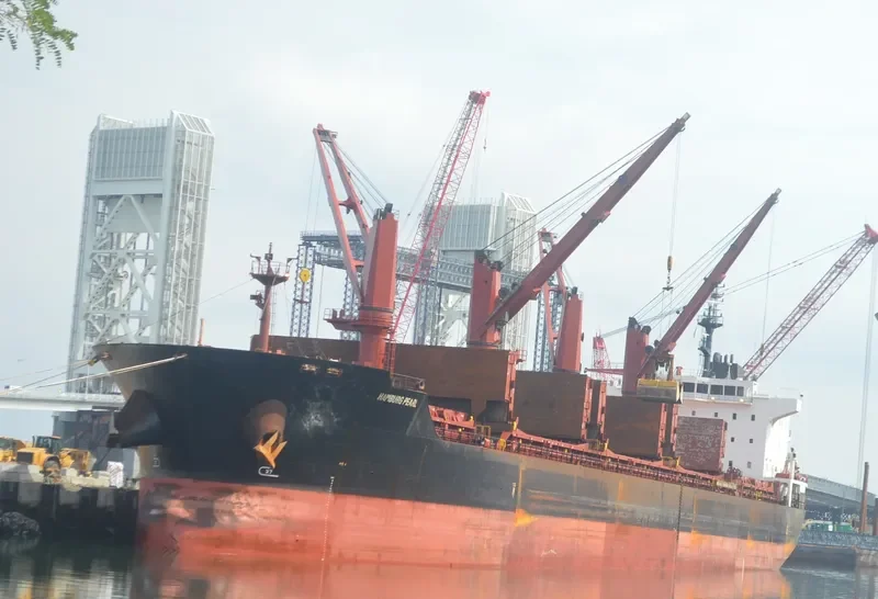 HAMBURG PEARL General Cargo IMO 9576741