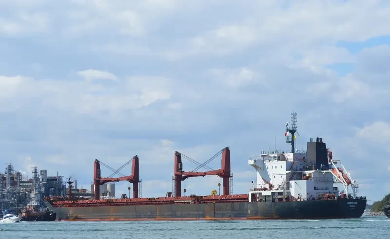 HAMBURG PEARL General Cargo IMO 9576741 photo 3