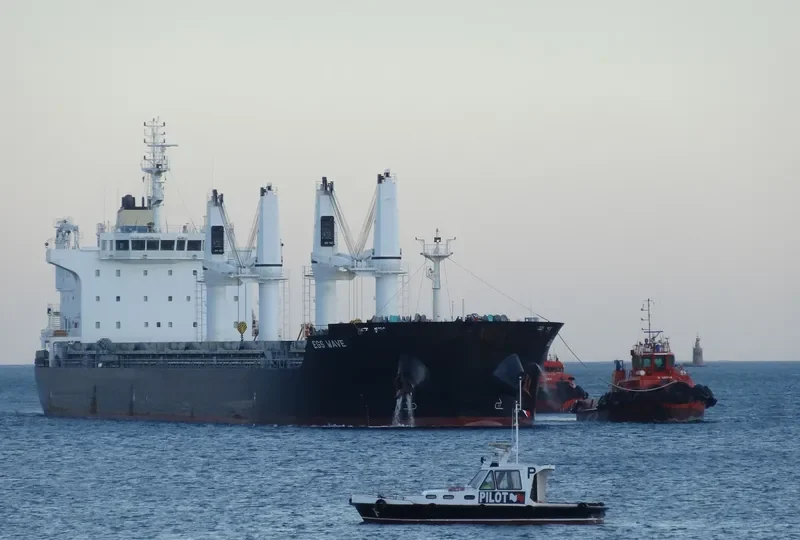 HAMBURG PEARL General Cargo IMO 9576741 photo 9