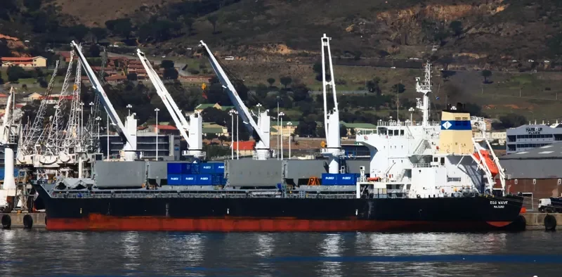 HAMBURG PEARL General Cargo IMO 9576741 photo 10
