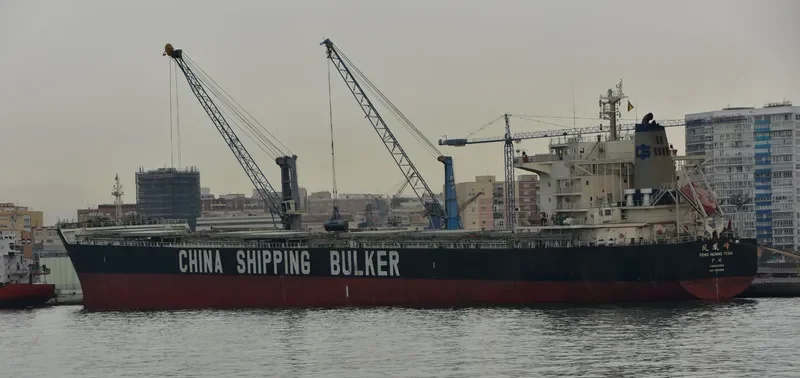 FENG HUANG FENG Bulk Carrier IMO 9576806