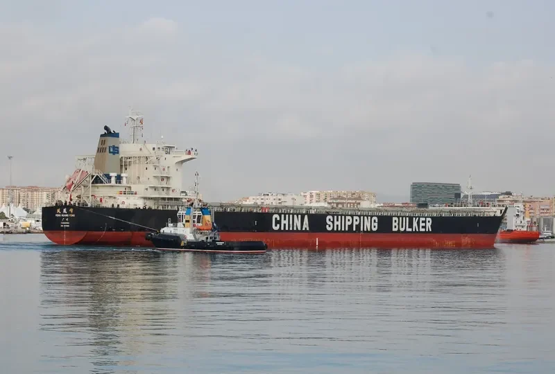 FENG HUANG FENG Bulk Carrier IMO 9576806 photo 3