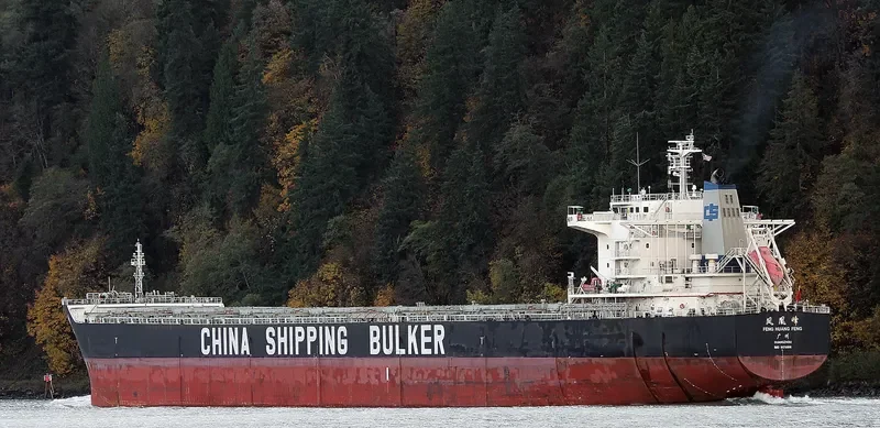 FENG HUANG FENG Bulk Carrier IMO 9576806 photo 9