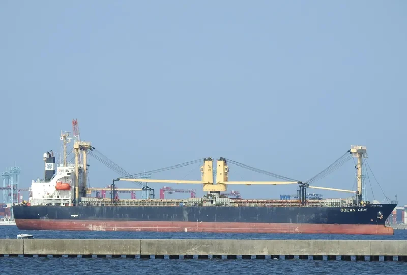 SEA WISDOM General Cargo IMO 9576882
