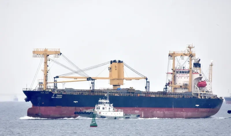SEA WISDOM General Cargo IMO 9576882 photo 8