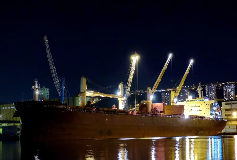 KIRAN ISTANBUL Bulk Carrier IMO 9576973 photo 2