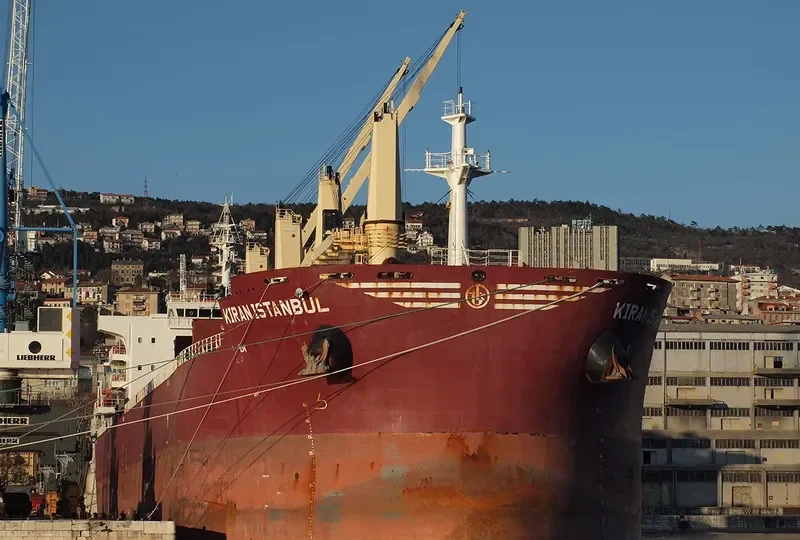 KIRAN ISTANBUL Bulk Carrier IMO 9576973 photo 4