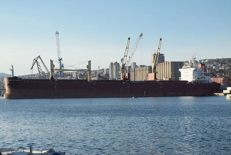KIRAN ISTANBUL Bulk Carrier IMO 9576973 photo 6