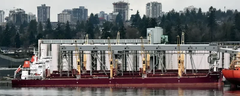 KIRAN BOSPHORUS Bulk Carrier IMO 9576997 photo 2