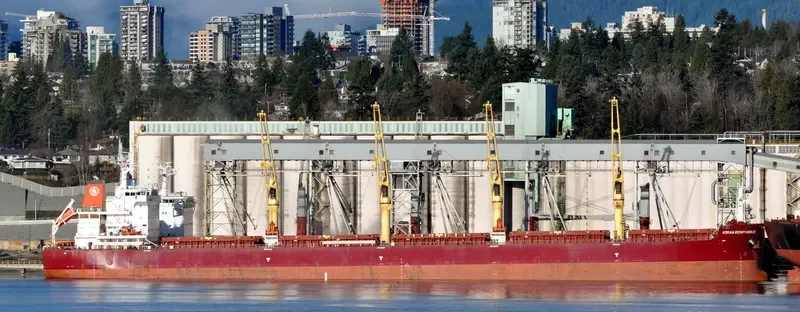 KIRAN BOSPHORUS Bulk Carrier IMO 9576997 photo 3