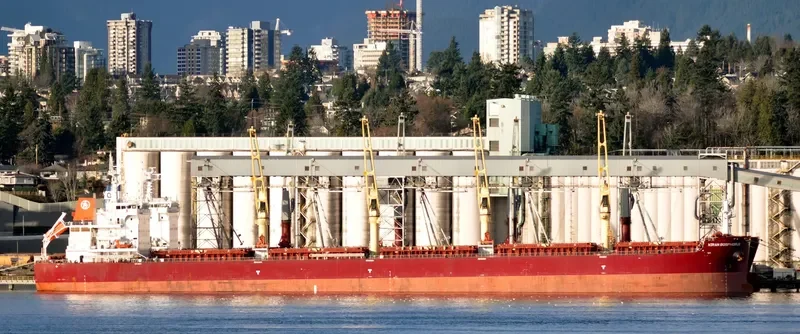 KIRAN BOSPHORUS Bulk Carrier IMO 9576997 photo 4