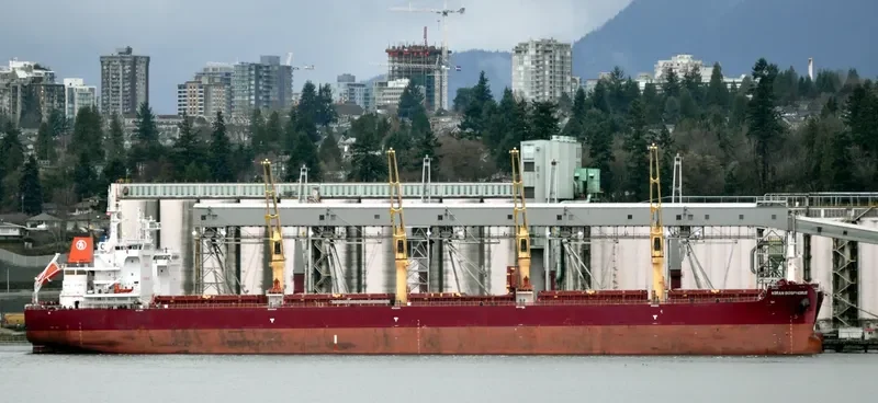 KIRAN BOSPHORUS Bulk Carrier IMO 9576997 photo 6