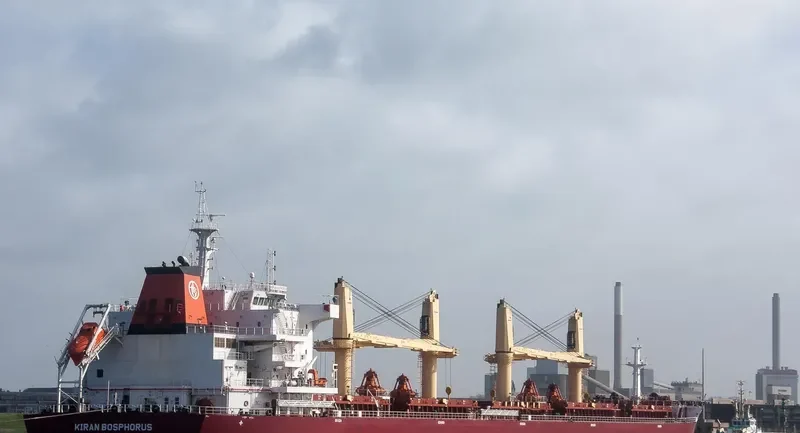 KIRAN BOSPHORUS Bulk Carrier IMO 9576997 photo 8