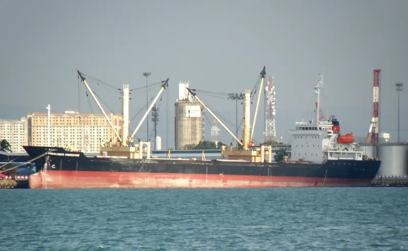 VIMC FREEDOM General Cargo IMO 9577317 photo 4