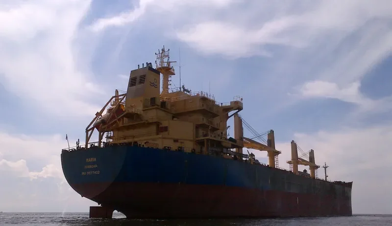 IRON DUKE Bulk Carrier IMO 9577422 photo 5