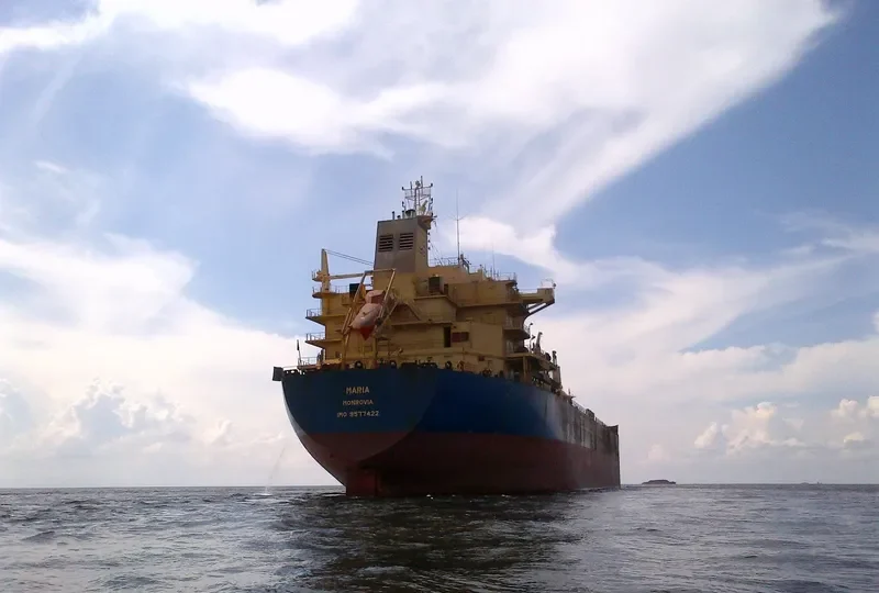 IRON DUKE Bulk Carrier IMO 9577422 photo 6