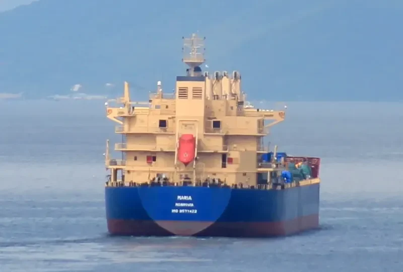 IRON DUKE Bulk Carrier IMO 9577422 photo 8