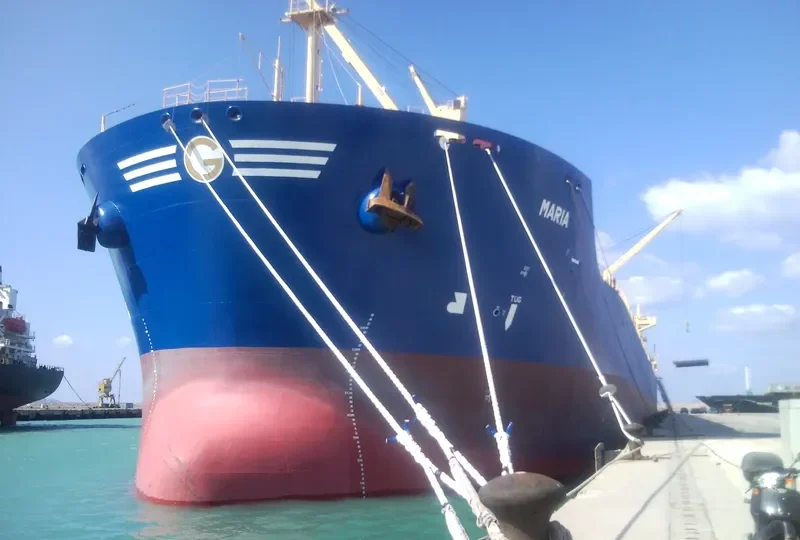 IRON DUKE Bulk Carrier IMO 9577422 photo 10