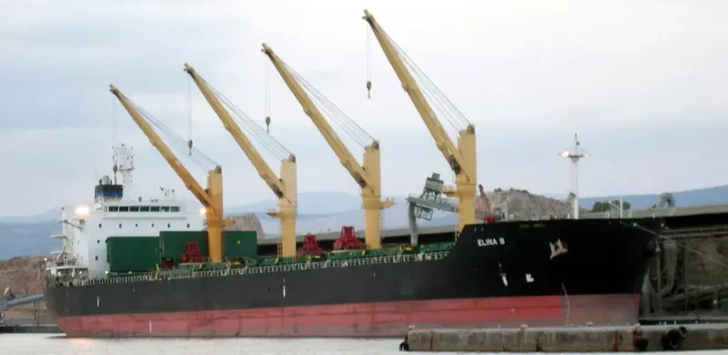 ELINA B Bulk Carrier IMO 9577446