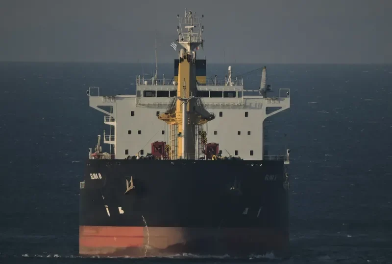 ELINA B Bulk Carrier IMO 9577446 photo 2