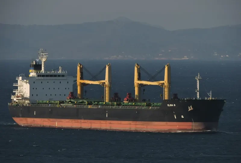 ELINA B Bulk Carrier IMO 9577446 photo 3