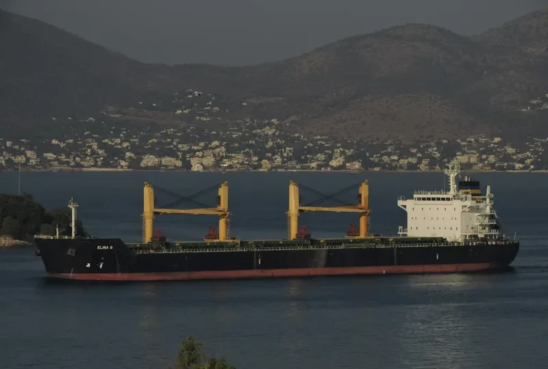 ELINA B Bulk Carrier IMO 9577446 photo 5