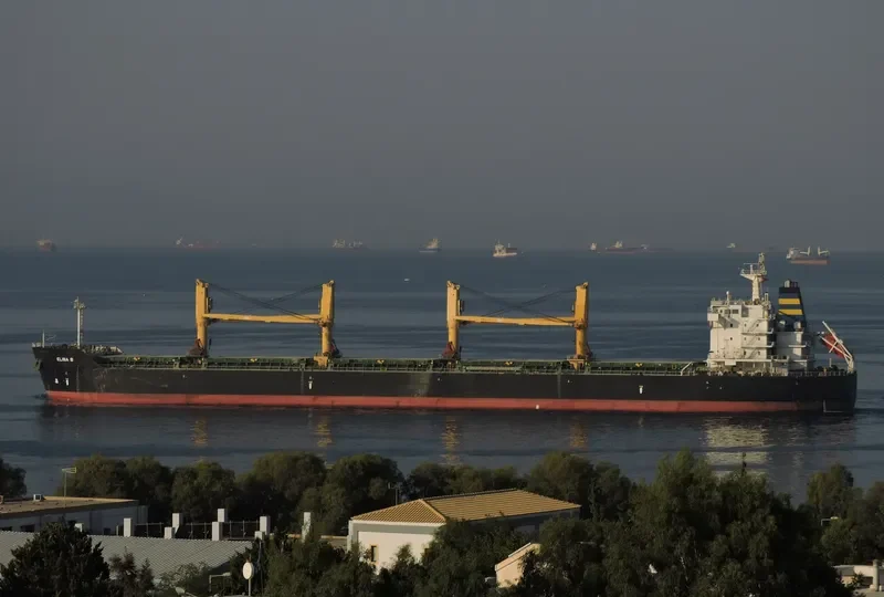 ELINA B Bulk Carrier IMO 9577446 photo 6