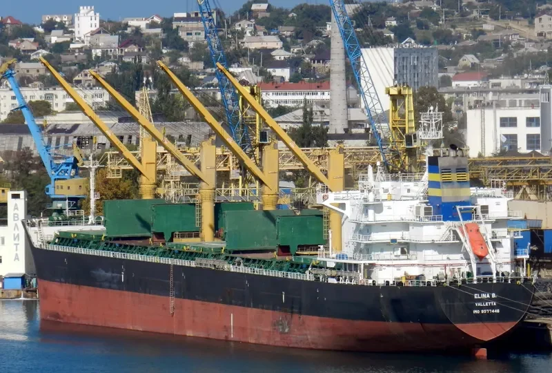 ELINA B Bulk Carrier IMO 9577446 photo 7
