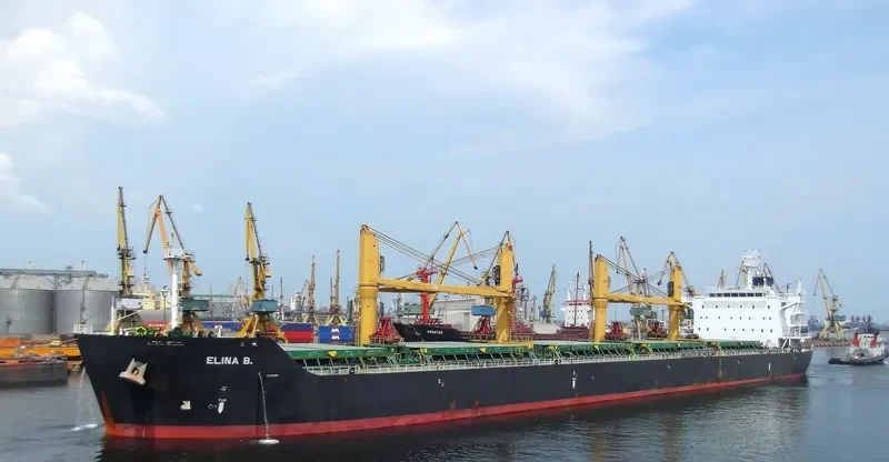 ELINA B Bulk Carrier IMO 9577446 photo 9