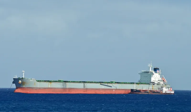 ILIA Bulk Carrier IMO 9577460
