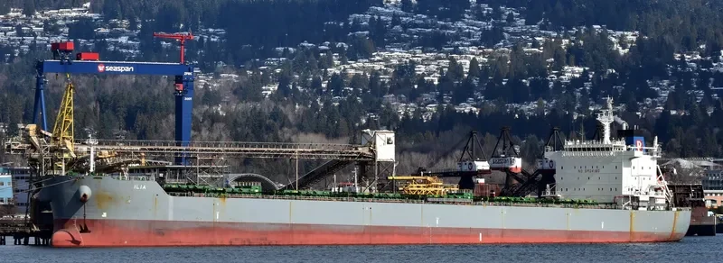 ILIA Bulk Carrier IMO 9577460 photo 2