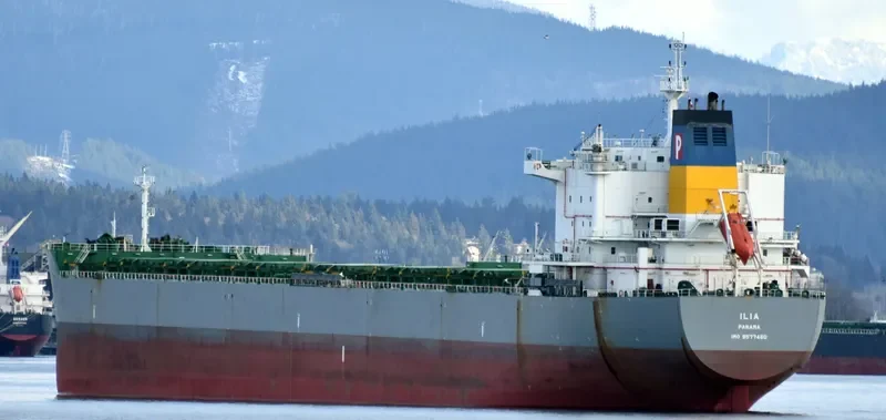 ILIA Bulk Carrier IMO 9577460 photo 5