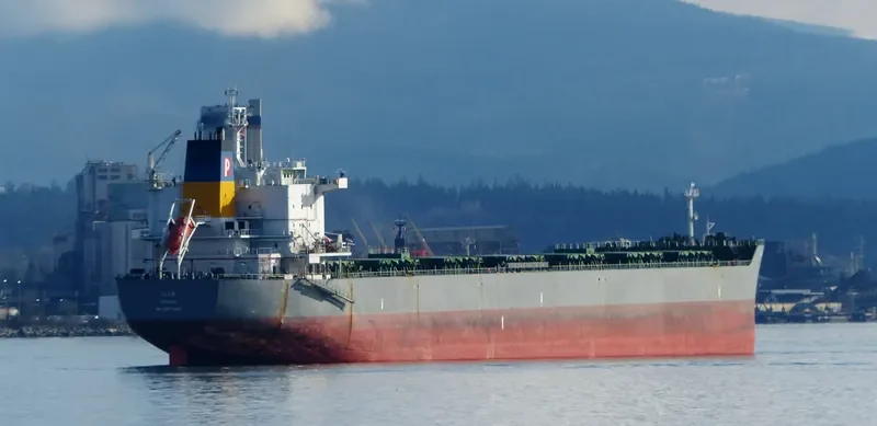 ILIA Bulk Carrier IMO 9577460 photo 6