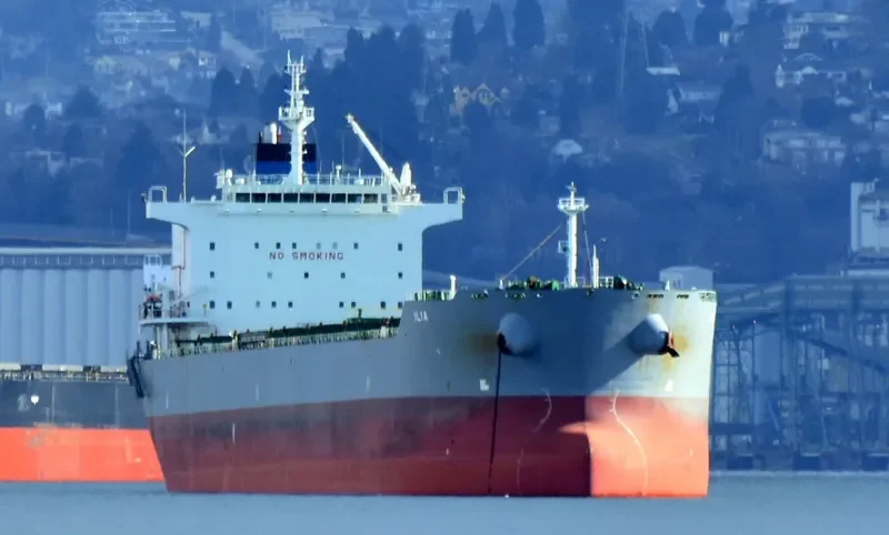 ILIA Bulk Carrier IMO 9577460 photo 8