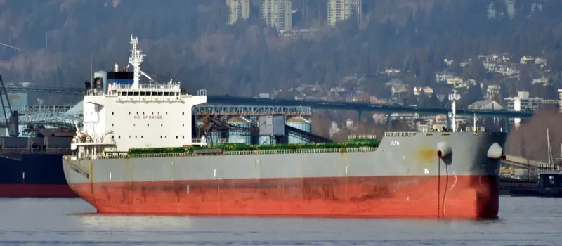 ILIA Bulk Carrier IMO 9577460 photo 9