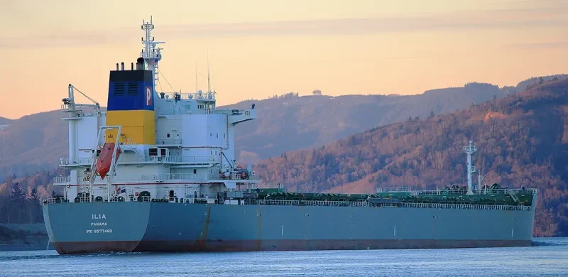 ILIA Bulk Carrier IMO 9577460 photo 10